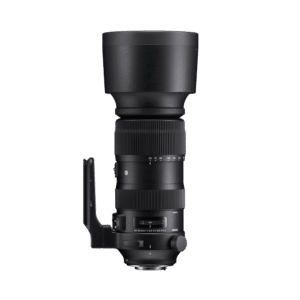 SIGMA 60-600MM F4.5-6.3 DG OS HSM FOR CANON/NIKON